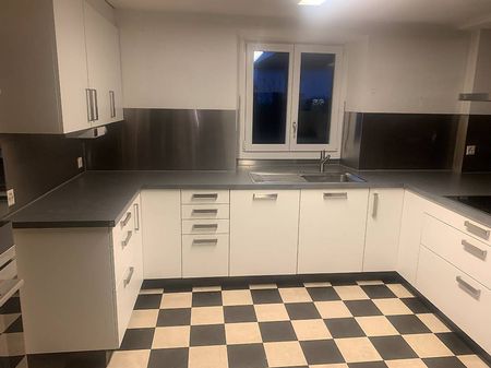 komplette Küche inkl. allen eigebauten Geräten