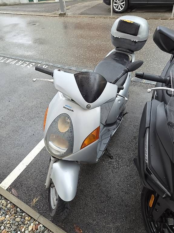 Scooters: Scooter 125  – Gebraucht aus Lugano von mat_p6jx