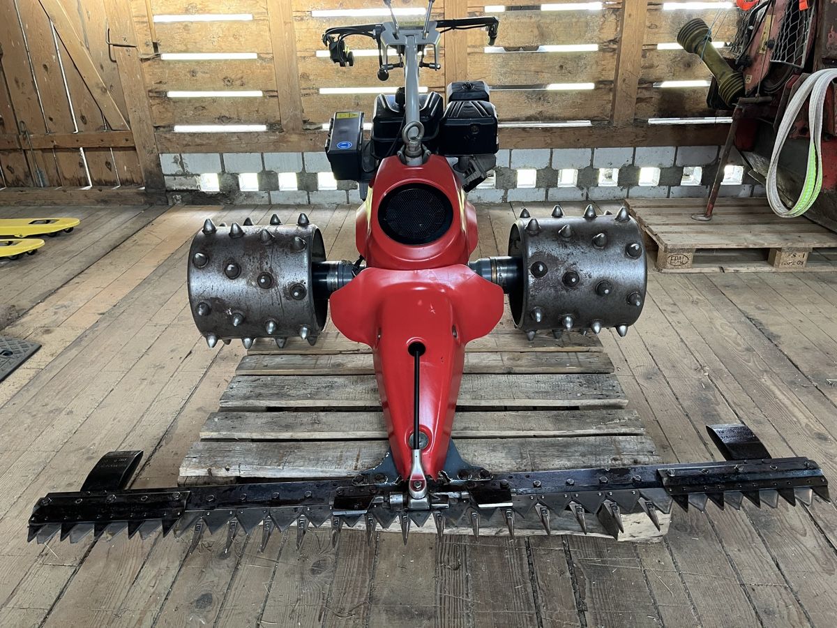 Tutte le macchine: Motormäher Aebi CC110 – Usato da Frutigen venduto da paz63