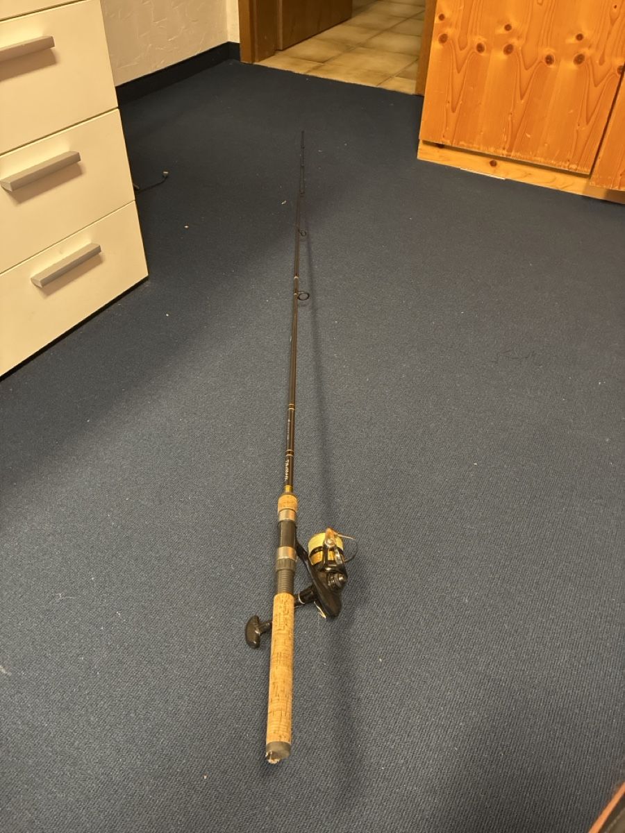 Daiwa Canne da pesca: Daiwa Angelrute inkl. Rolle – Usato da Balgach venduto da Organisator