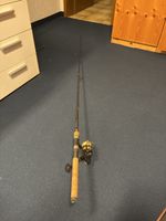 Daiwa Angelrute inkl. Rolle