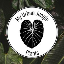 Profile image of My_Urban_Jungle