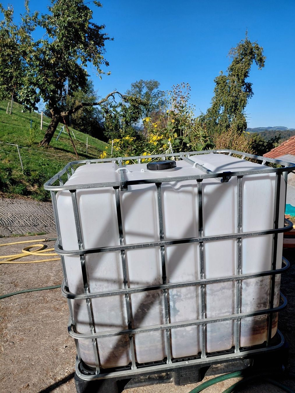 Abbeveratoi e trogoli: IBC Tank – Usato da Kriens venduto da leila18 1