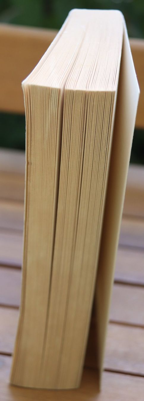 Libri: Drachenläufer von Khaled Hosseini – Usato da Glattfelden venduto da Vrenely 3