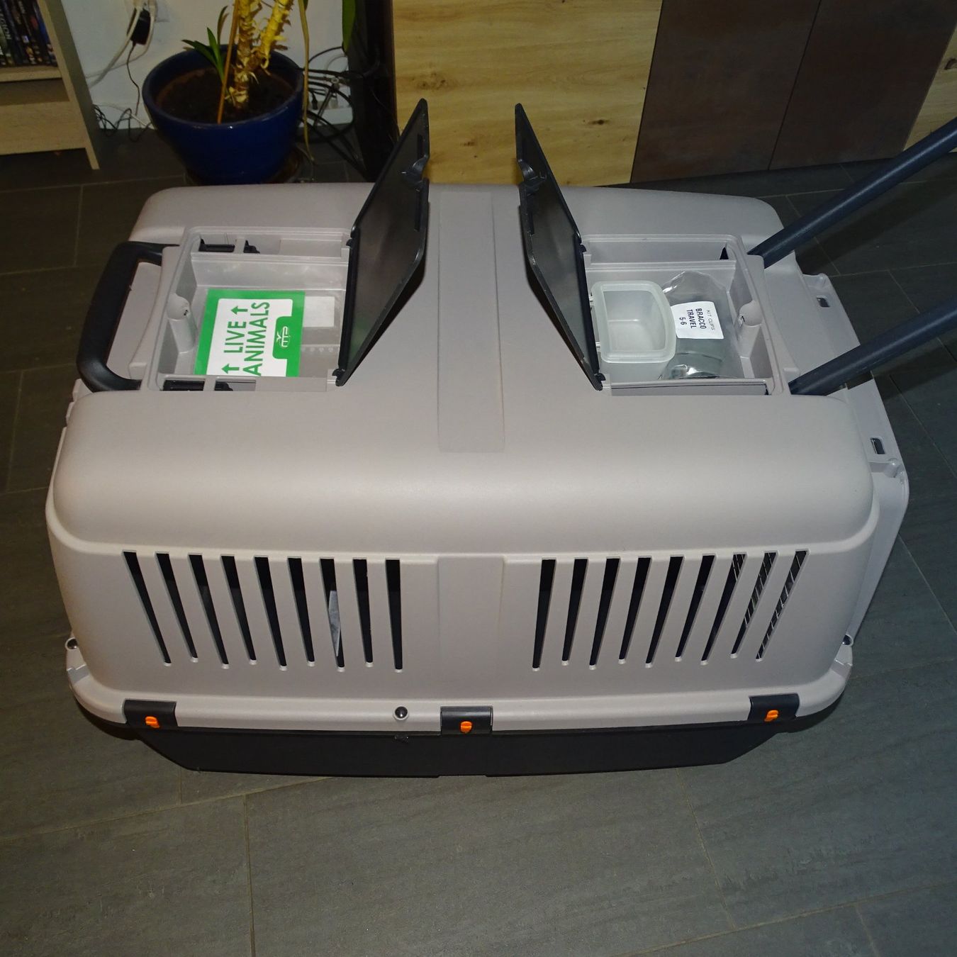 Sonstige Dekorationen & Accessoires: Grosse Hundebox – Neu (gemäss Beschreibung) aus Büetigen von Djtomekk1 1
