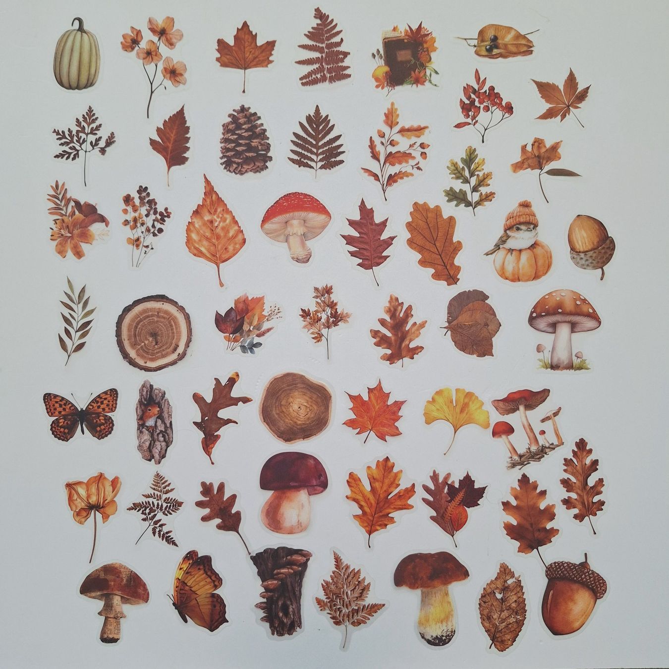 Sticker: 50 Aufkleber Sticker - Herbst – Nuovo e nell'imballaggio originale da Basel venduto da Kunterbunt12 1