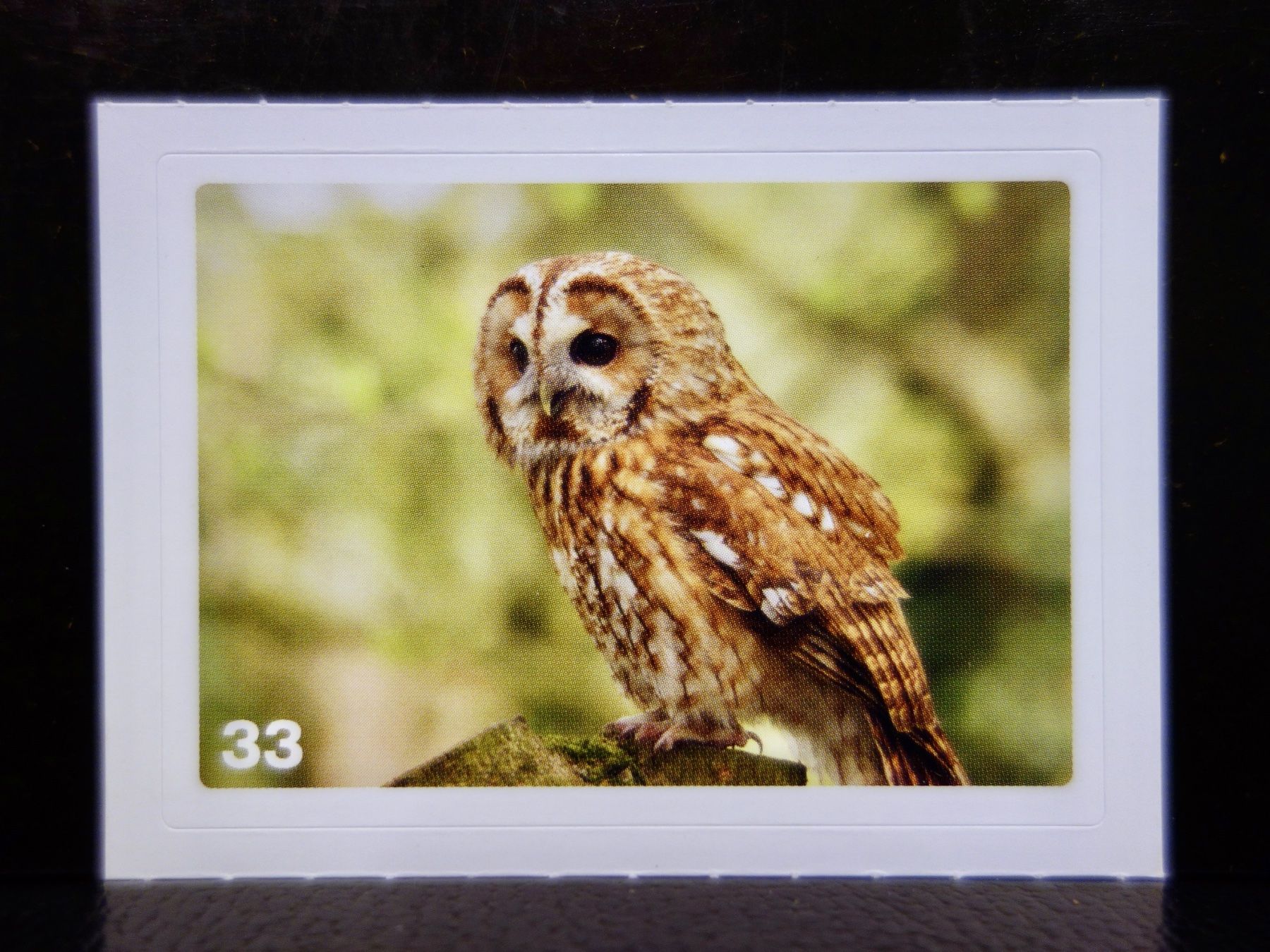 Migros Carte collezionabili: MIGROS MANIA Nature Detectives Nr. 33 – Nuovo e nell'imballaggio originale da Kerzers venduto da djstarsky73