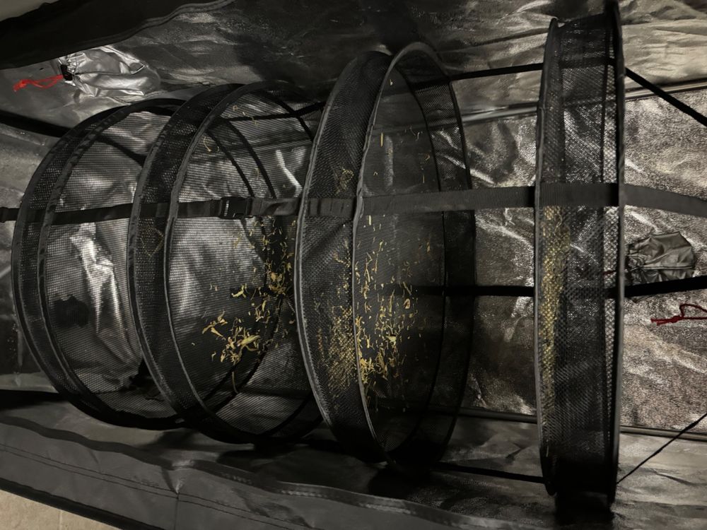 LABT Trocknungsnetz 60cm Mit 5 Fächern - Drynet Für Kräuter, Blüten, Wäsche