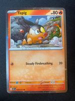 Tepig 29 Promo - Floink - Ascended Heroes - EN ab 1