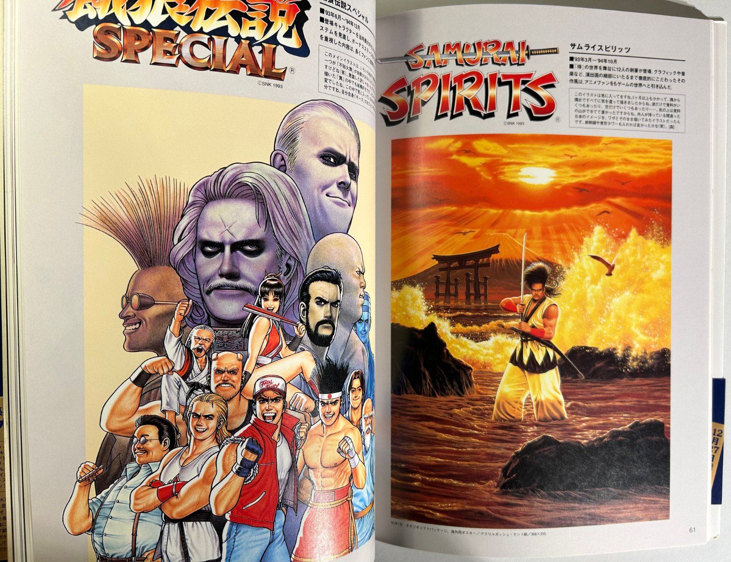 Art book - ART OF SNK WORLD - VOL. 2 (1995) (Usato) a Giffers per