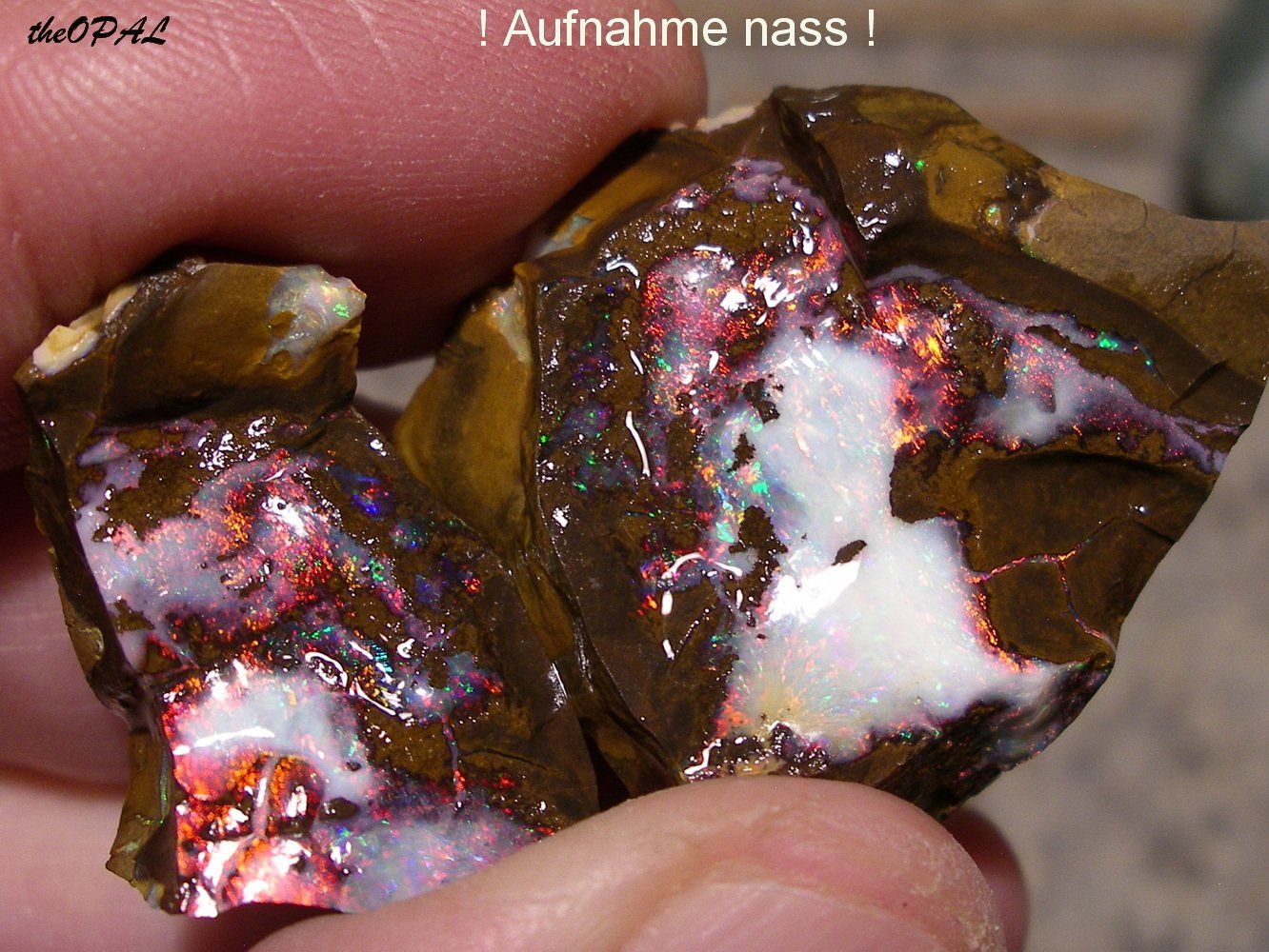 Pierres précieuses: theOPAL *** ROHER BOULDER OPAL SPLIT 95,67ct *** – Neuf avec emballage d'origine à Ebnat-Kappel par theOPAL 7