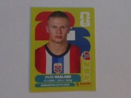 1 Erling Haaland Panini WM 26 Bildli
