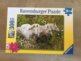Puzzle Pferde 300 Teile