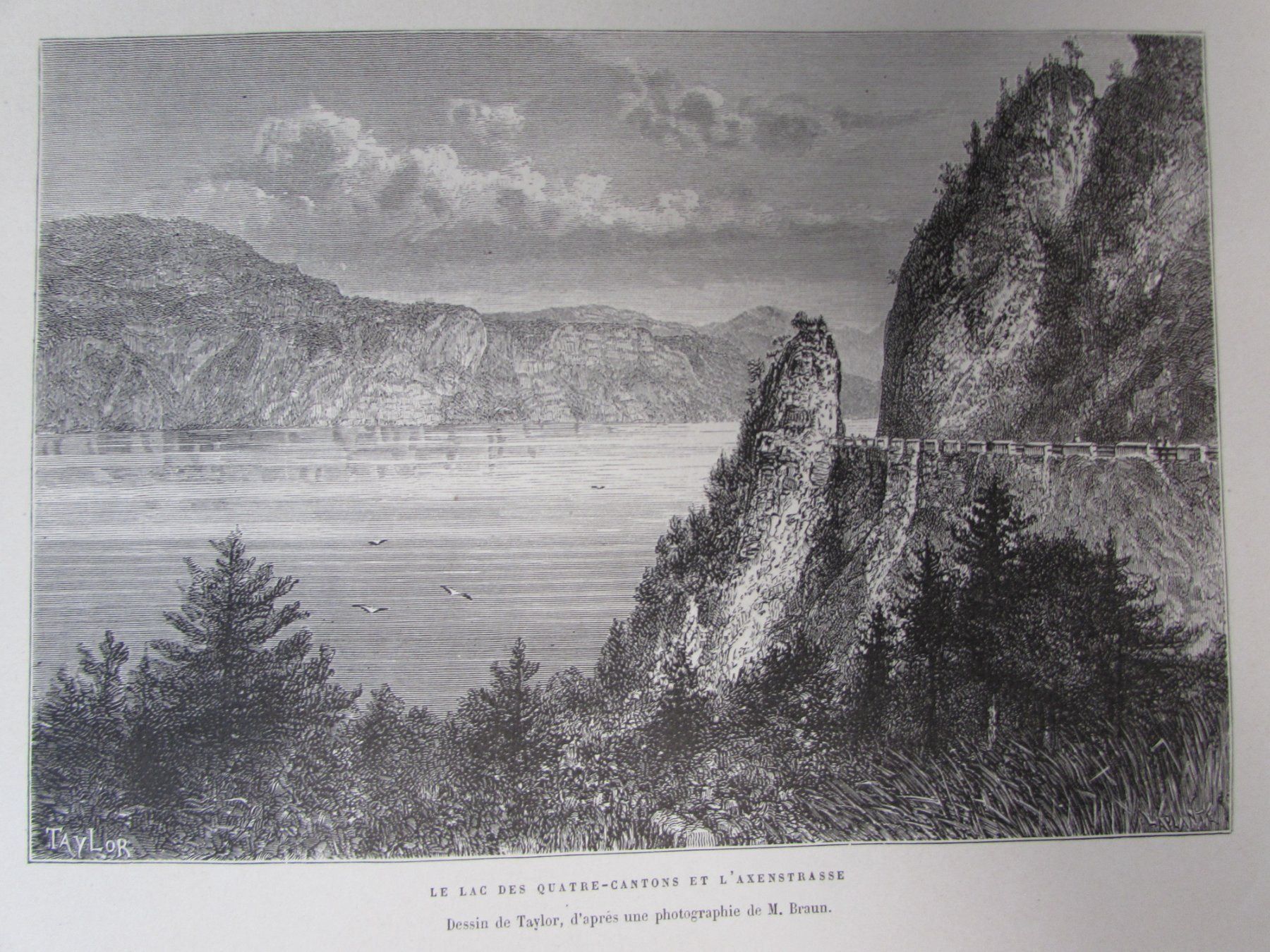 Incisioni: Vierwaldstättersee,19.Jh. – Usato da Walchwil venduto da Shells1 3