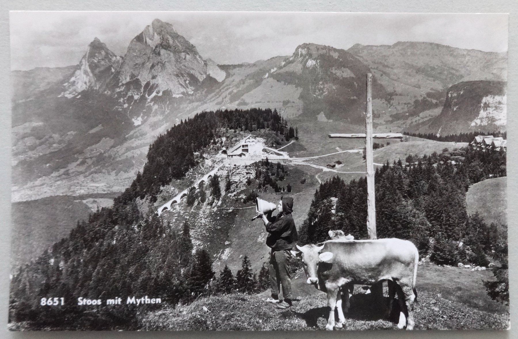 Cartoline postali: Stoos mit Mythen – Usato da Fétigny venduto da Billy2miny
