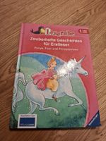 Leserabe Stufe 1