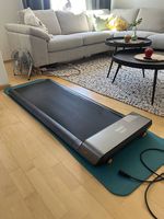Walking Pad WPA1F