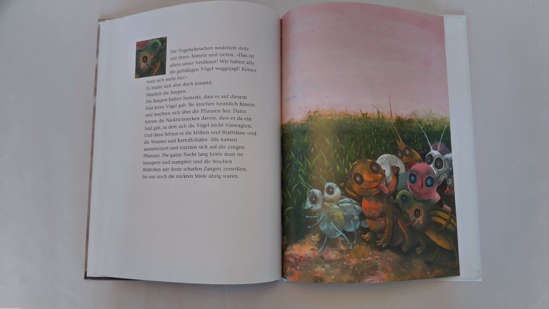 Livres: Die sieben Vogelscheuchen / Bilderbuch 1998 ab Fr. 10.- – D'occasion à Bellach par JingleJerry 7