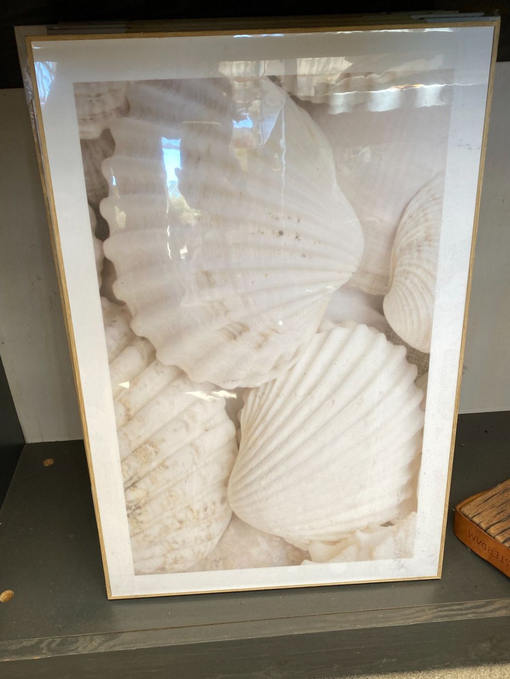 Foto & Immagini: Muschelbild – Nuovo (secondo la descrizione) da Sursee venduto da pflugshaupt01