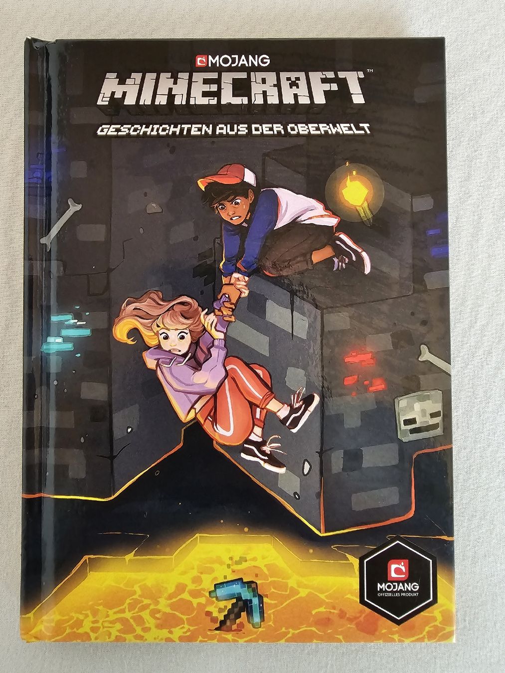 BD: Minecraft Comic - Geschichten aus der Oberwelt – Neuf (Voir description) à Bütschwil par Taranabo