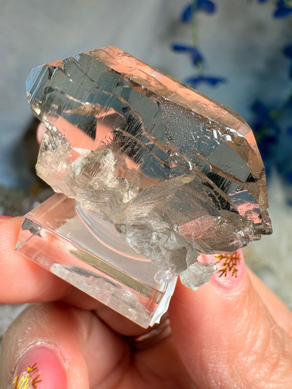 Pietre preziose: Rauchquarz Gwindel Grimelpass – Nuovo e nell'imballaggio originale da Neuheim venduto da m.hald 1
