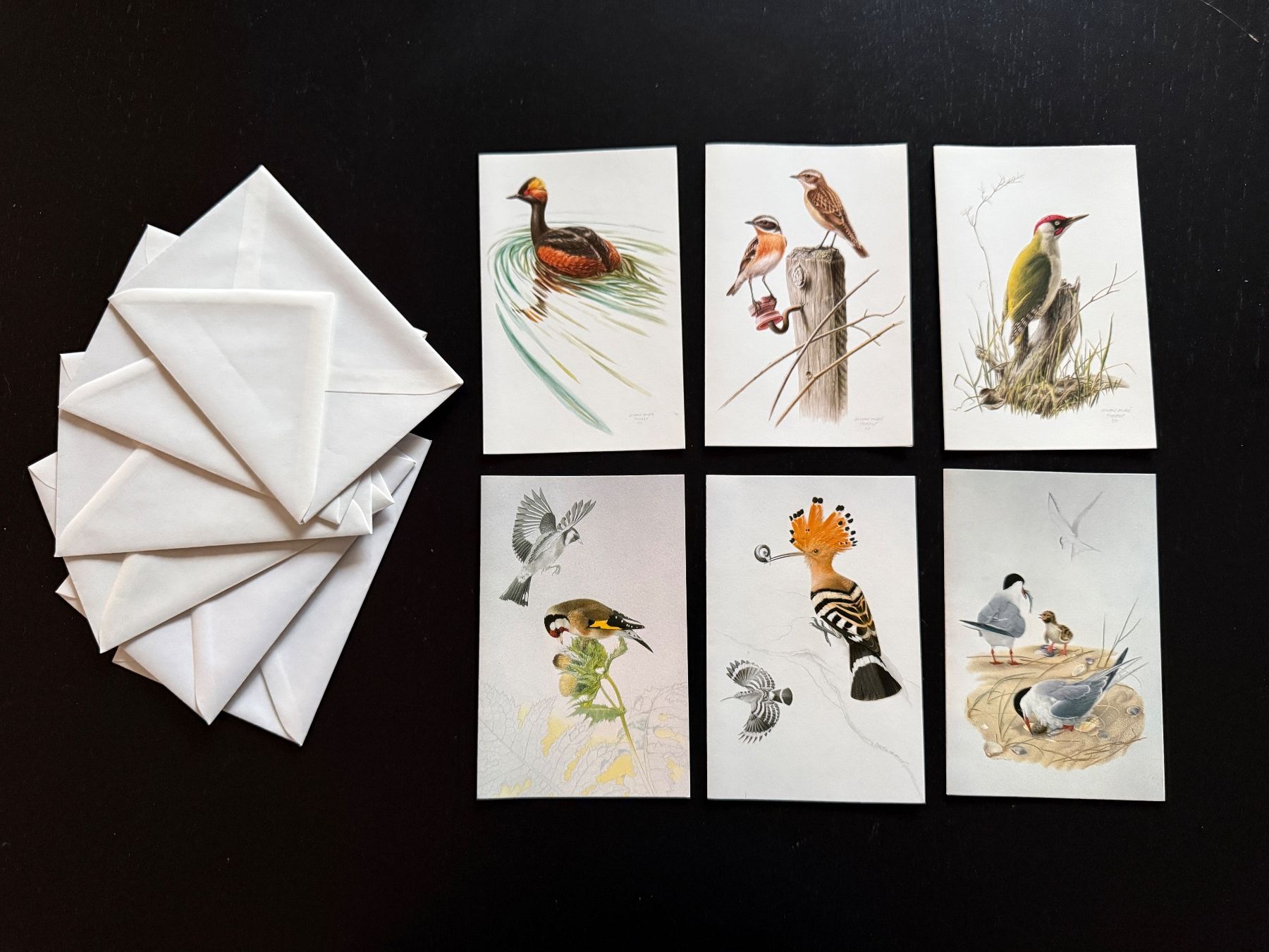Cartoline: 6 Vogel-Karten, ungebraucht, Pro Schweizer Vogelschutz – Nuovo (secondo la descrizione) da Erstfeld venduto da Uhu1980