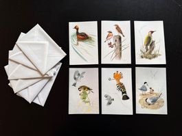 6 Vogel-Karten, ungebraucht, Pro Schweizer Vogelschutz