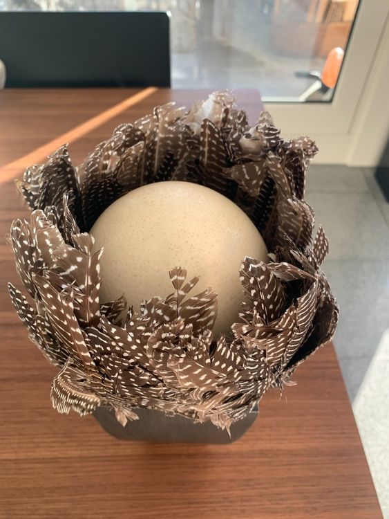 Oster Deco mit Straussenei Perlhuhn Federn | Kaufen auf Ricardo
