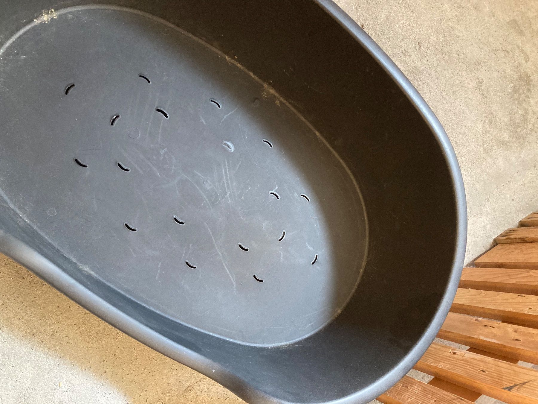 Cucce & Letti: Panier pour chien – Usato da Fribourg venduto da gui_yl2f 2