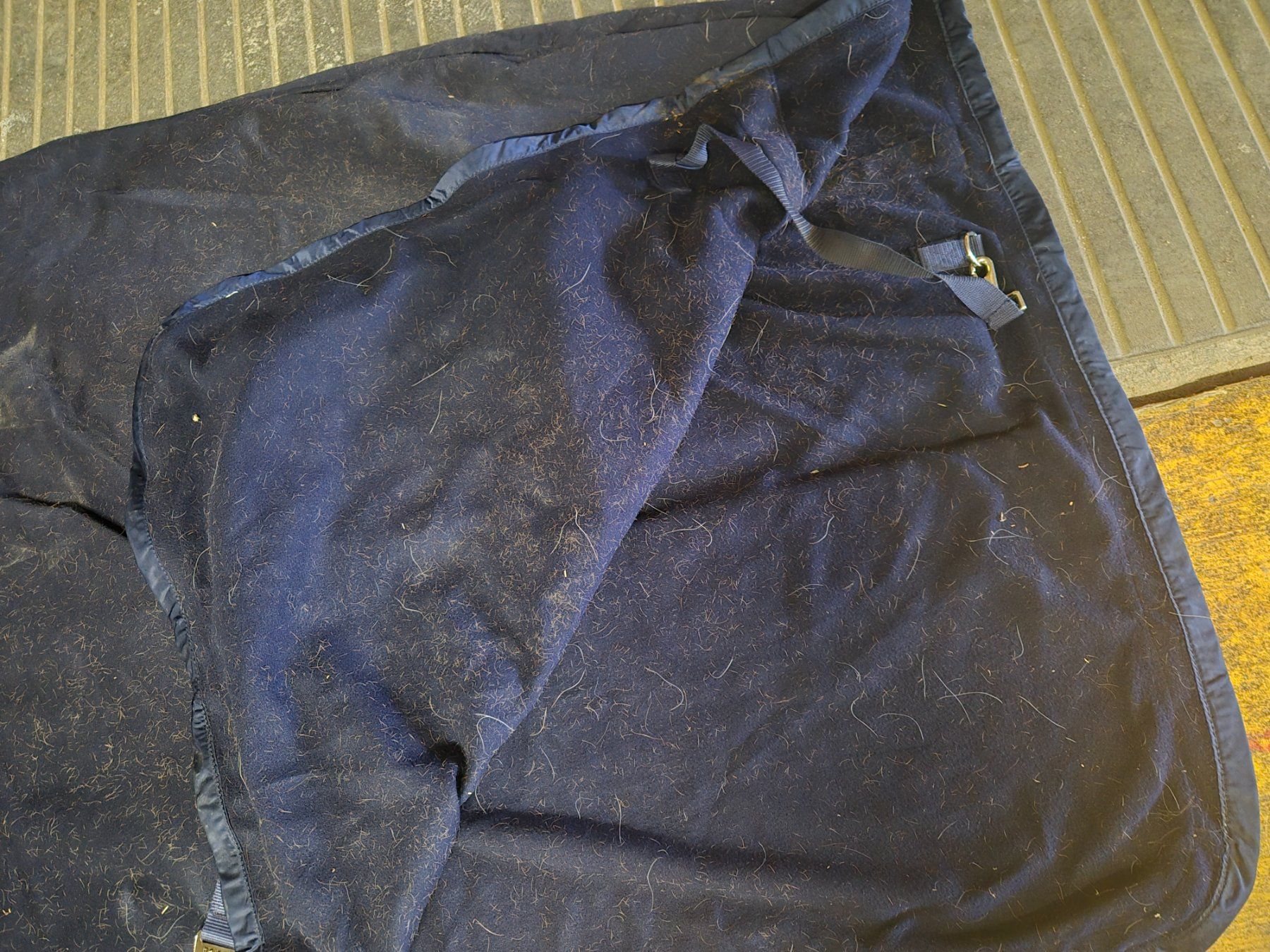 Coperte & Accessori: Eskadron Decke XL / 155 – Usato da Meggen venduto da Orrinka20 3