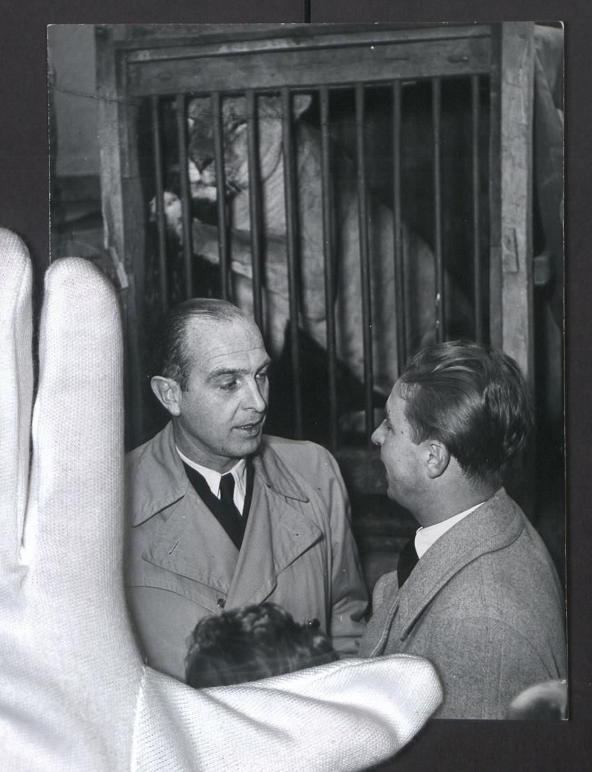 Fotografie &  Plakate: Fotografie Dr. C. Schleussner und Dr. Be – Gebraucht aus Berlin von bartko-reher