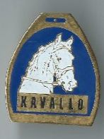 Kavallo Pferde Pin