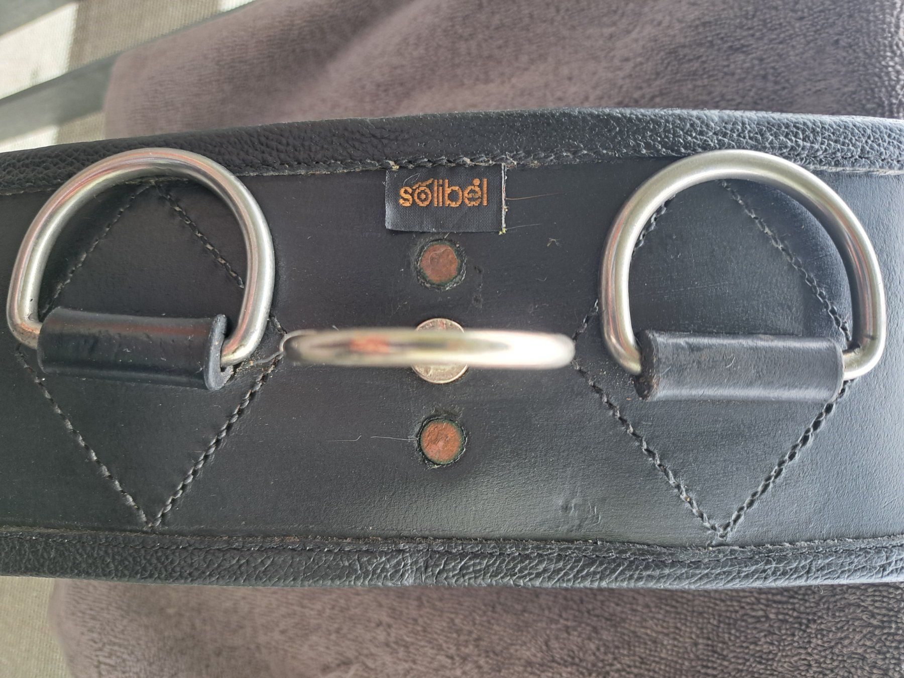 Selle & Accessori: Longiergurt Marke Solibel, Leder, schwarz – Nuovo (secondo la descrizione) da Winikon venduto da nic_2kjk 4
