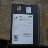 POSTE LOCALE  Nr.14I° Typ 20 mit Befund   Kat.Fr. 2100.-