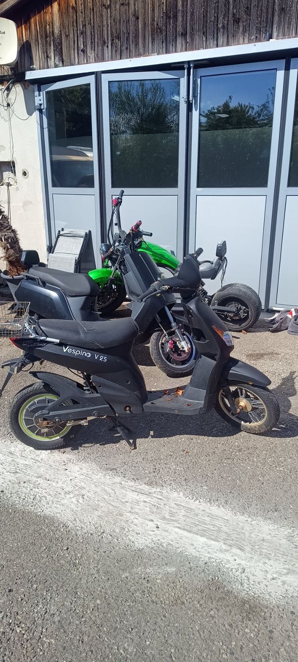 Scooter: Diverse Elektro Roller – Difettoso da Dübendorf venduto da igw_mzk7