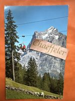 Bergbahn Grindelwald First, Wetterhorn. gelaufen 1965