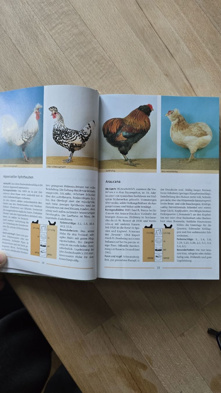 Libri: Rasse Geflügel Kompakt – Nuovo (secondo la descrizione) da Rüthi (Rheintal) venduto da Sinhue 2