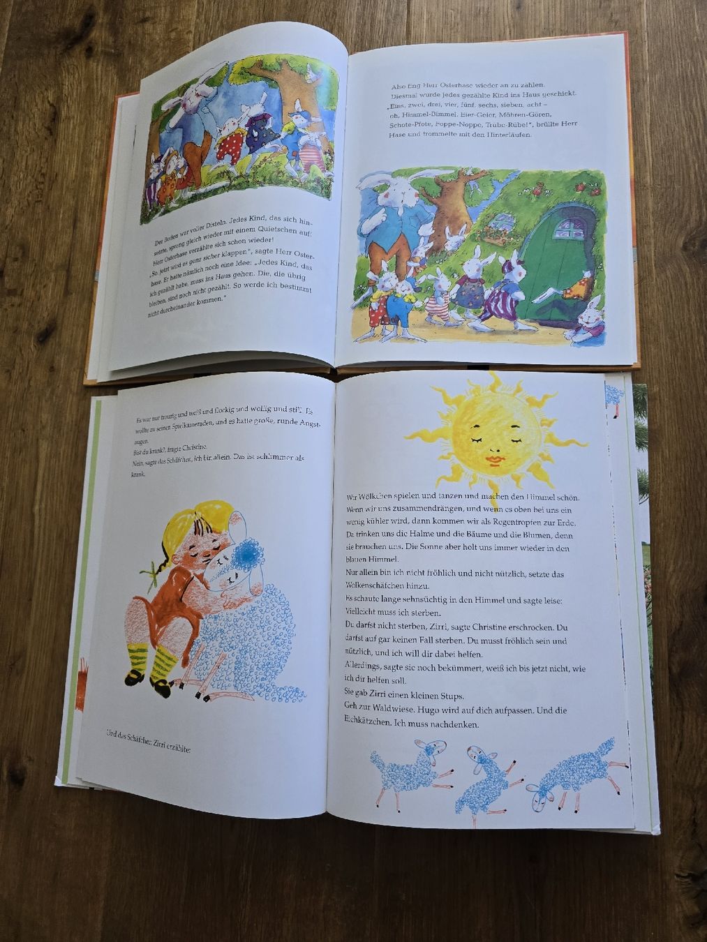 Libri: bücher für kinder – Usato da Wittenbach venduto da Tigerlili 8