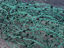 Haustier Zaun, Hütenetz, Hasenstall / Hühnerstall Netz