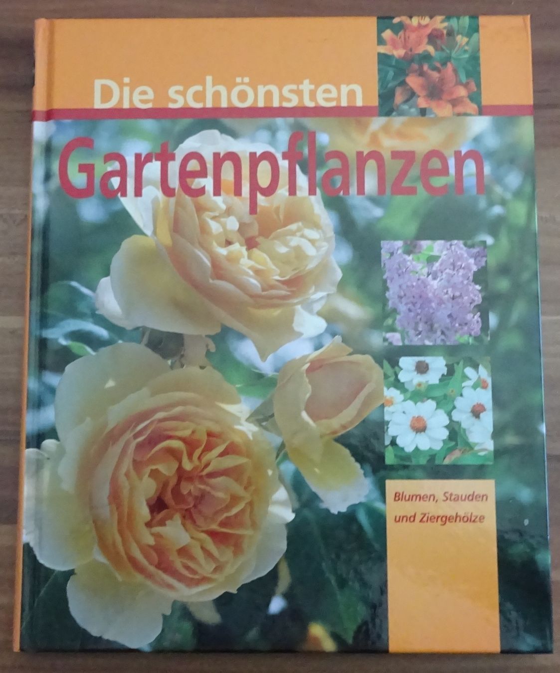 Libri: Die schönsten Gartenpflanzen – Usato da Wagenhausen venduto da Svema