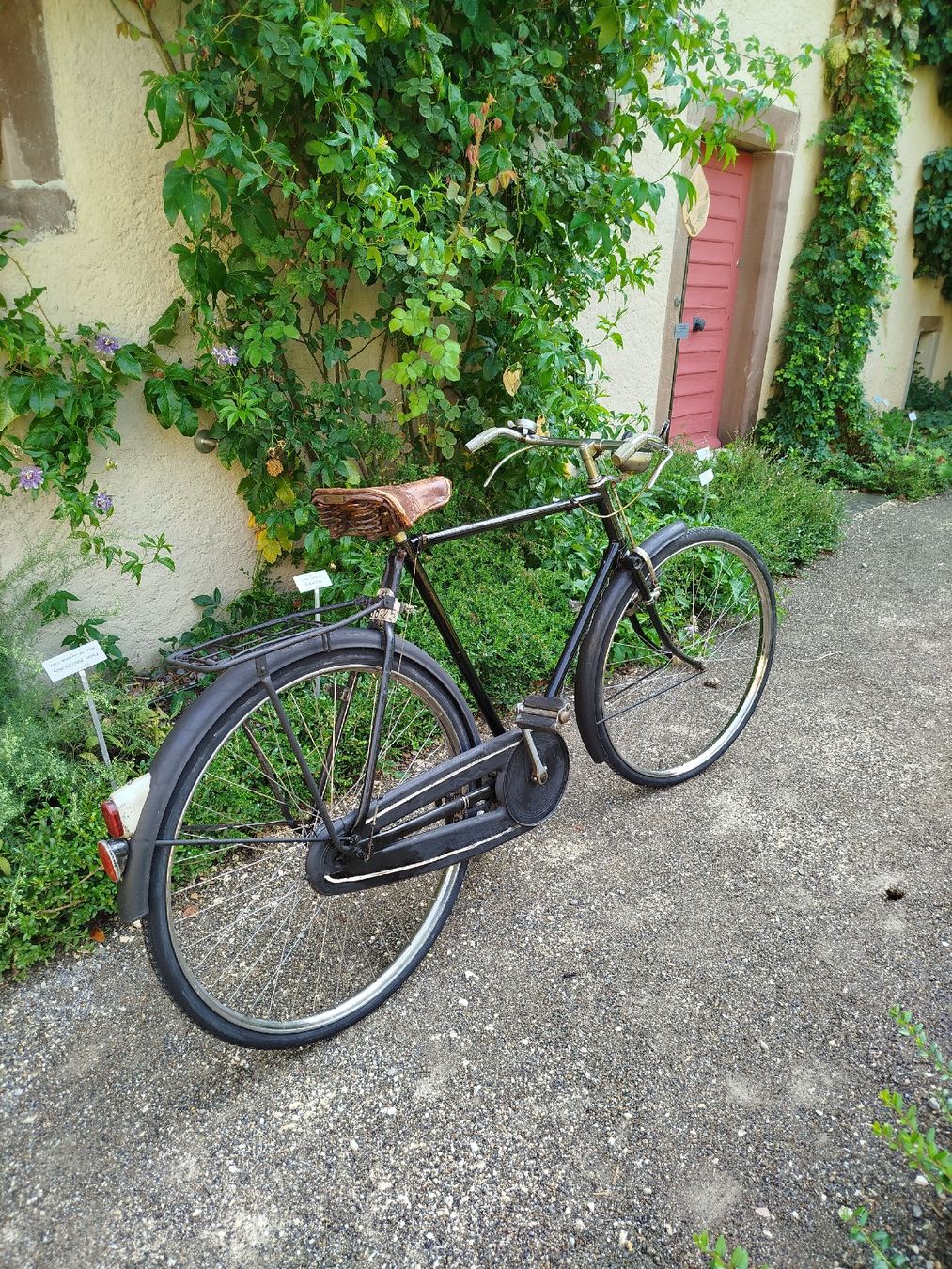 Biciclette: Herrenvelo 3-Gang – Usato da Schaffhausen venduto da Viertelvorvieri 4