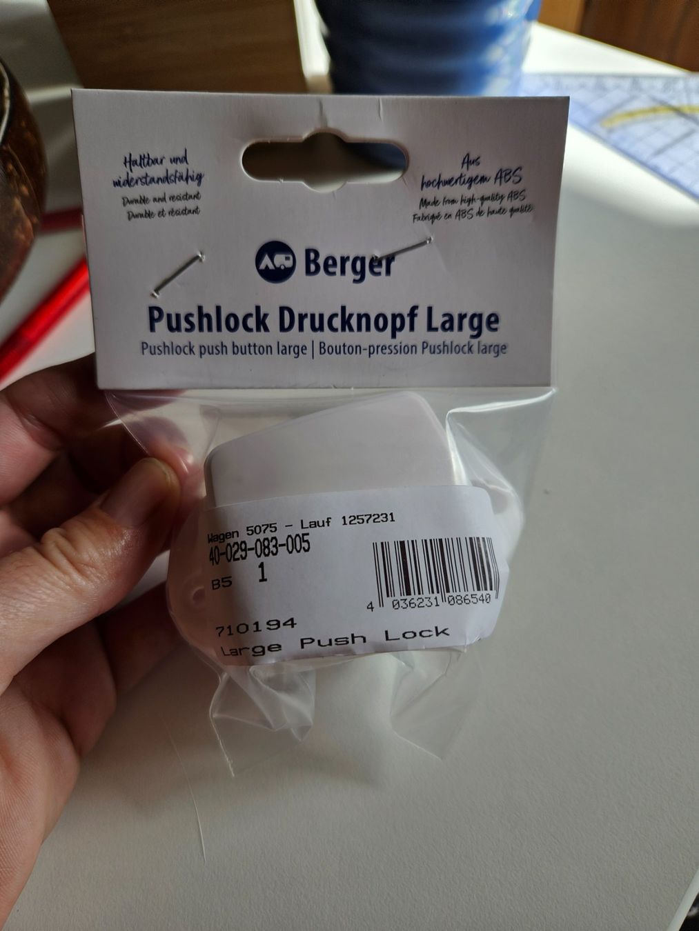 Ferramenta: Pushlock - Bouton -poussoir pour camping-car – Nuovo e nell'imballaggio originale da Saxon venduto da aur_2ffw