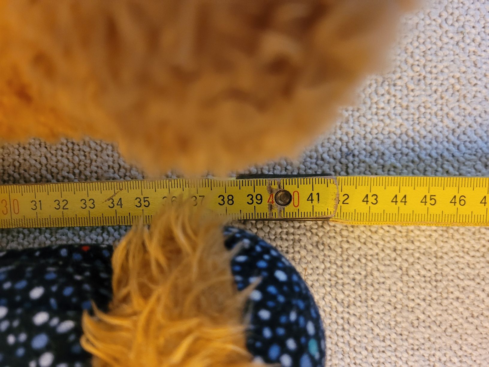 Giocattoli: 3 Teddybären, Kuschelbären, ca. 40cm – Nuovo (secondo la descrizione) da ennenda venduto da popcorn007 2