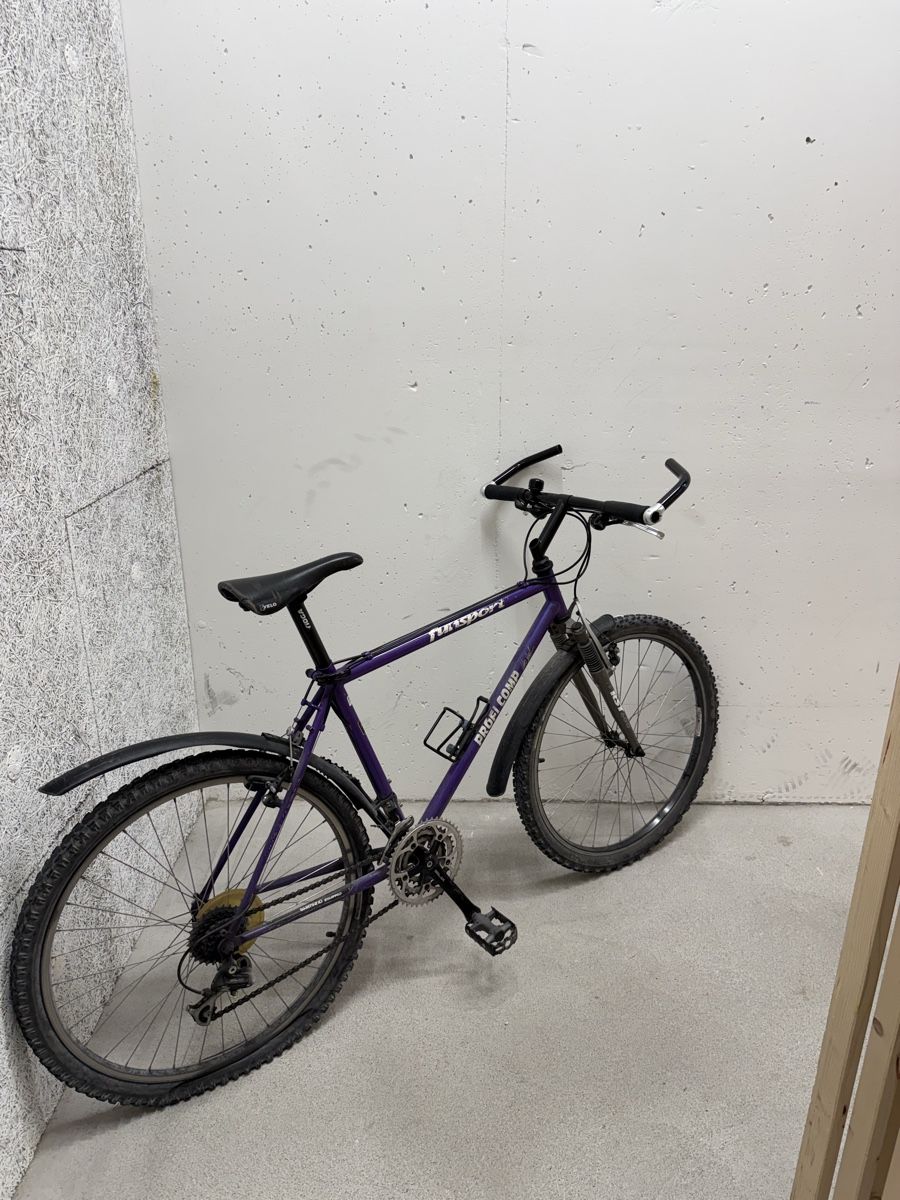 Biciclette: Fahrrad / Velo – Usato da Dübendorf venduto da Cztephan 1