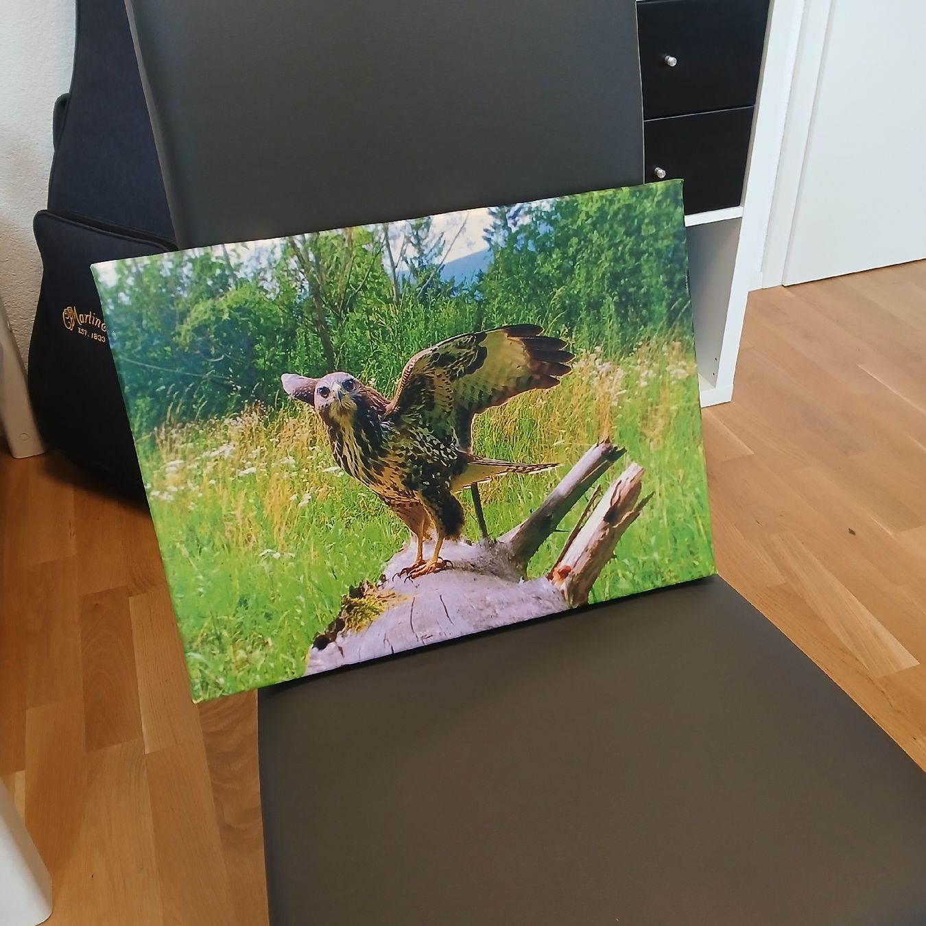 Foto & Immagini: Tableau sur toile Buse Neuf – Nuovo e nell'imballaggio originale da Lignières venduto da jes_5h8x