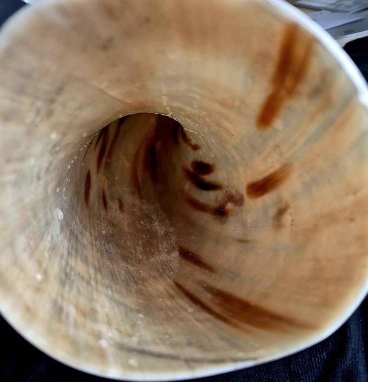 Tutte le decorazioni: Trinkhorn 1.5 Liter – Usato da Wetzikon ZH venduto da Juergen_B 2