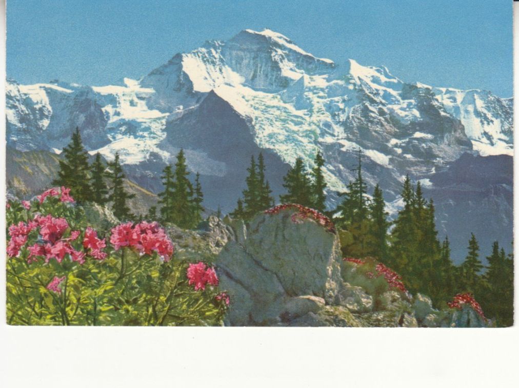 Cartoline postali: Jungfrau ca. 1960 – Usato da Bürglen TG venduto da StampGraf