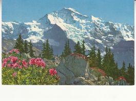 Jungfrau ca. 1960