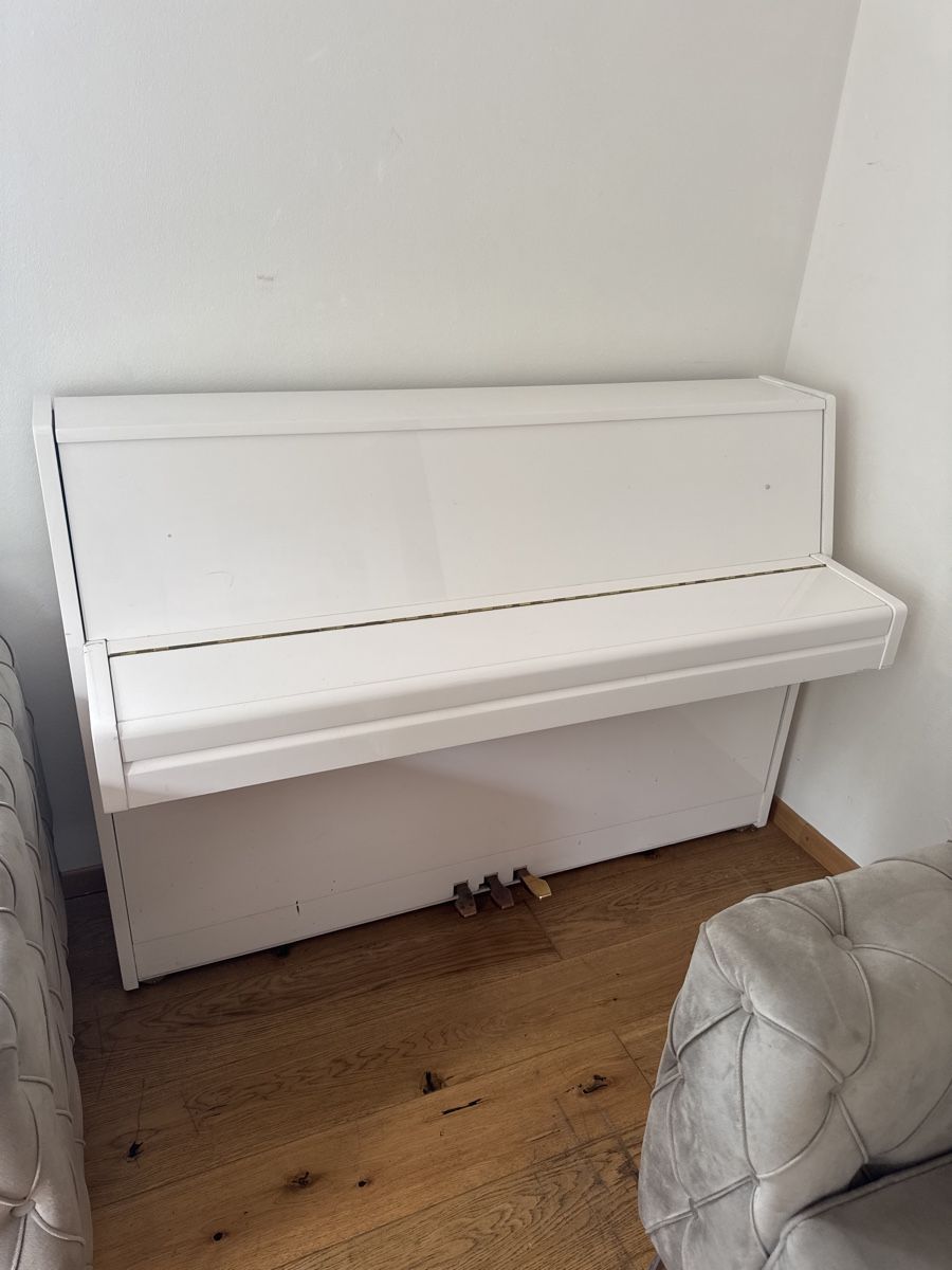 Strumenti musicali: HYUNDAI Klavier – Usato da Untersiggenthal venduto da kaanzurich