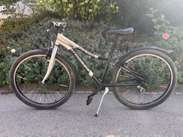 Crosswave Prime Rider 26" silber-schwarz